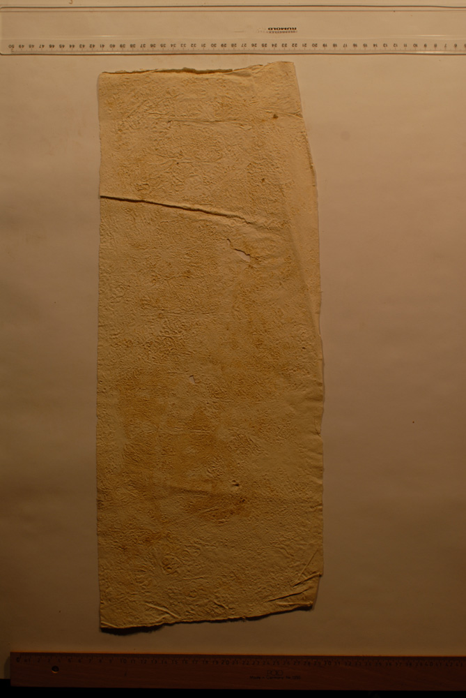 Squeeze: Site: Giza; view: G 9500