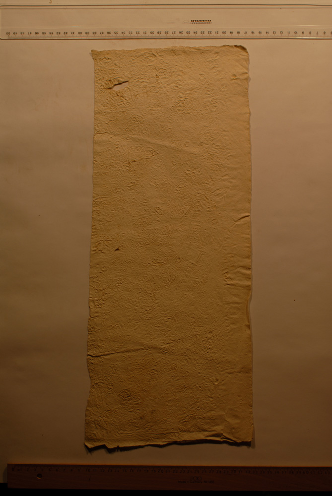 Squeeze: Site: Giza; view: G 9500