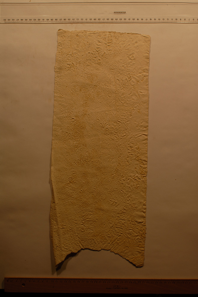 Squeeze: Site: Giza; view: G 9500