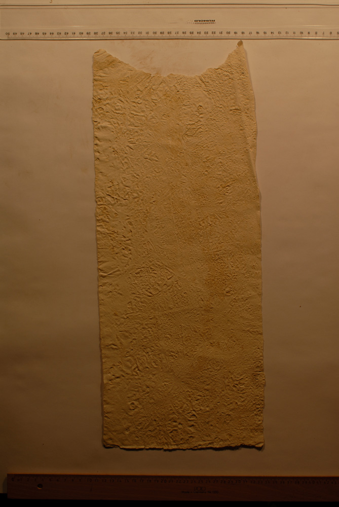 Squeeze: Site: Giza; view: G 9500