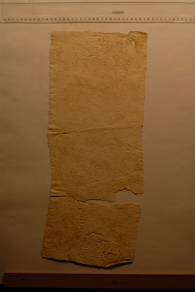 Squeeze: Site: Giza; view: G 9500