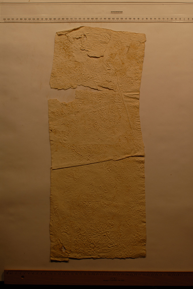 Squeeze: Site: Giza; view: G 9500