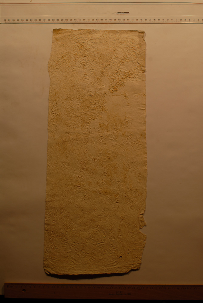 Squeeze: Site: Giza; view: G 9500