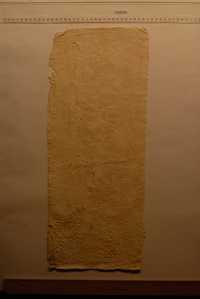 Squeeze: Site: Giza; view: G 9500