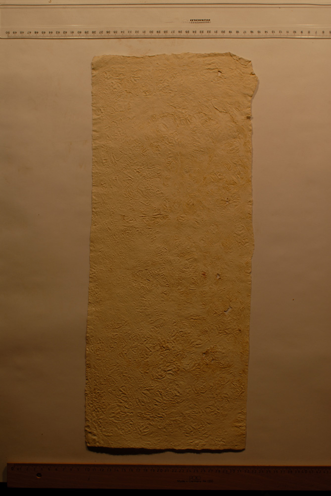 Squeeze: Site: Giza; view: G 9500
