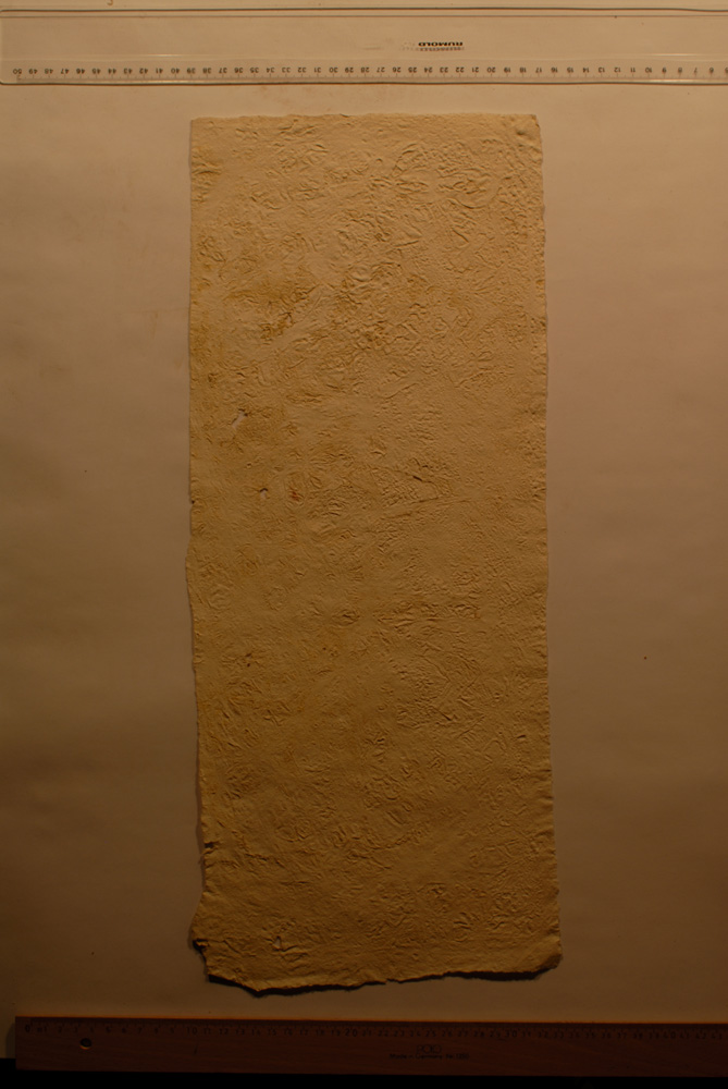 Squeeze: Site: Giza; view: G 9500