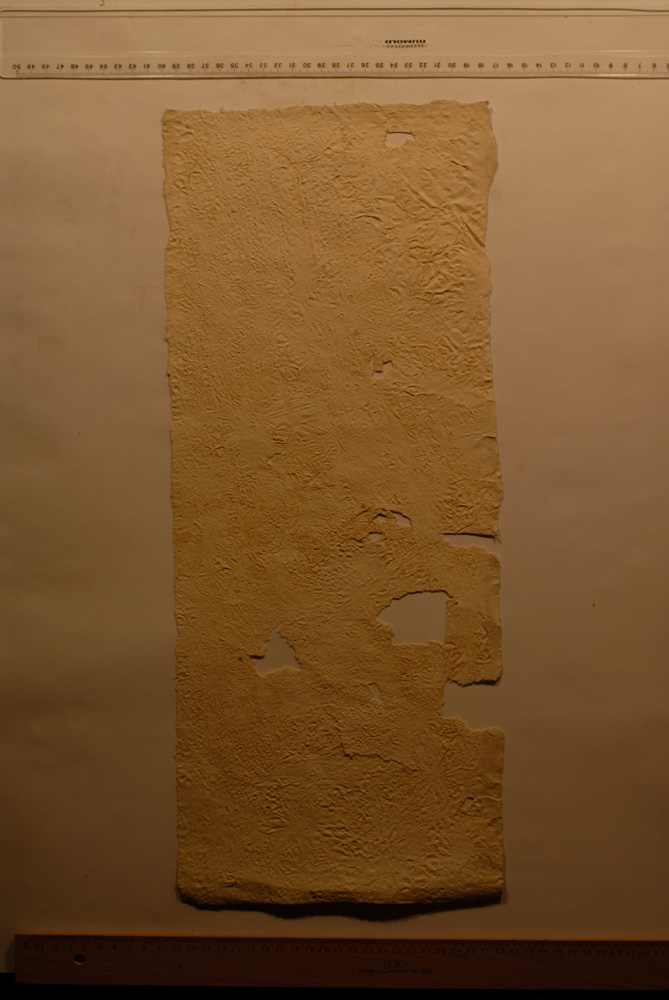 Squeeze: Site: Giza; view: G 9500
