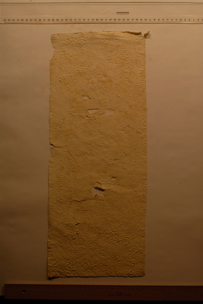Squeeze: Site: Giza; view: G 9500
