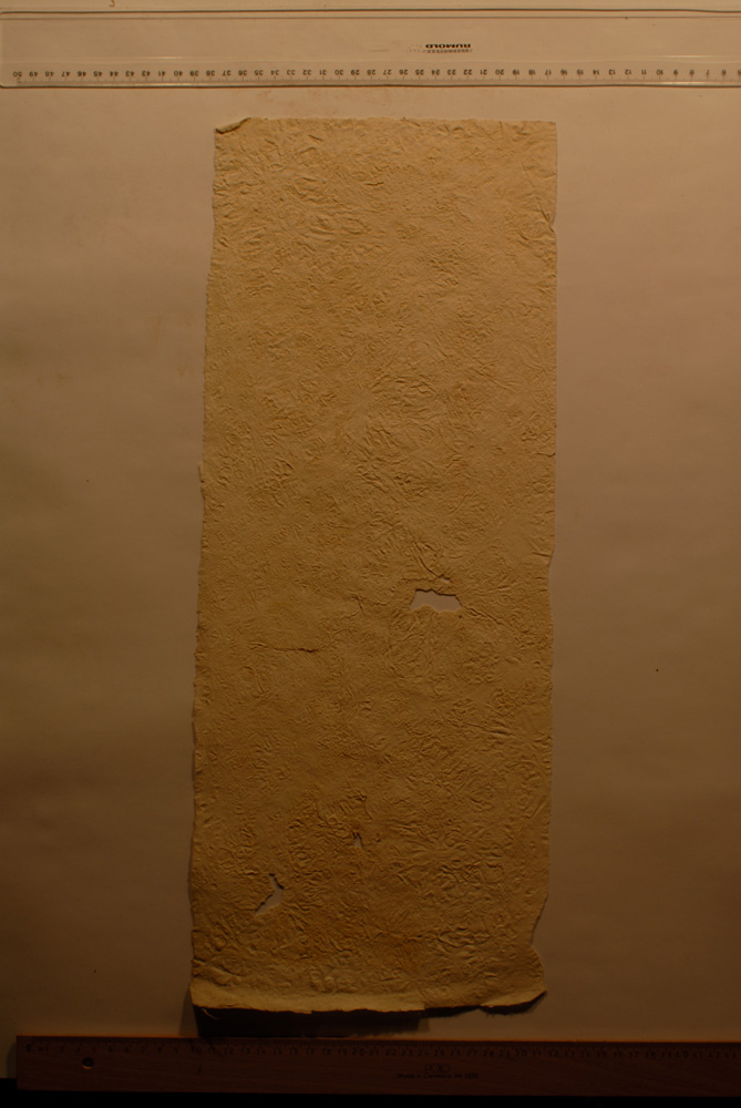 Squeeze: Site: Giza; view: G 9500