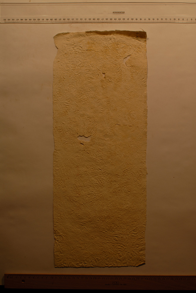 Squeeze: Site: Giza; view: G 9500