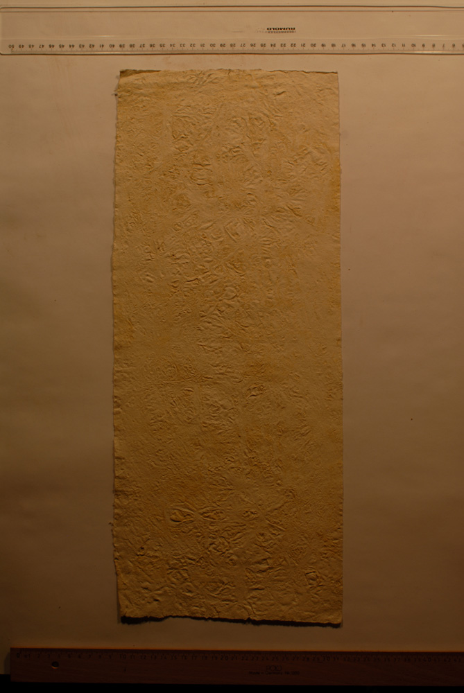 Squeeze: Site: Giza; view: G 9500