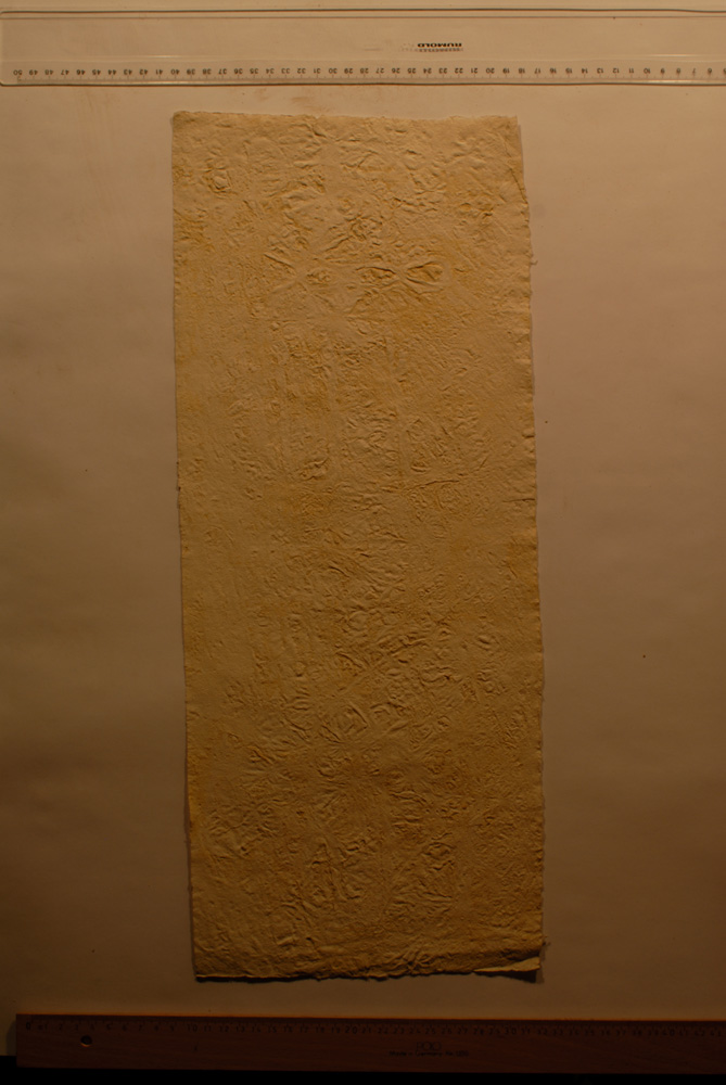 Squeeze: Site: Giza; view: G 9500