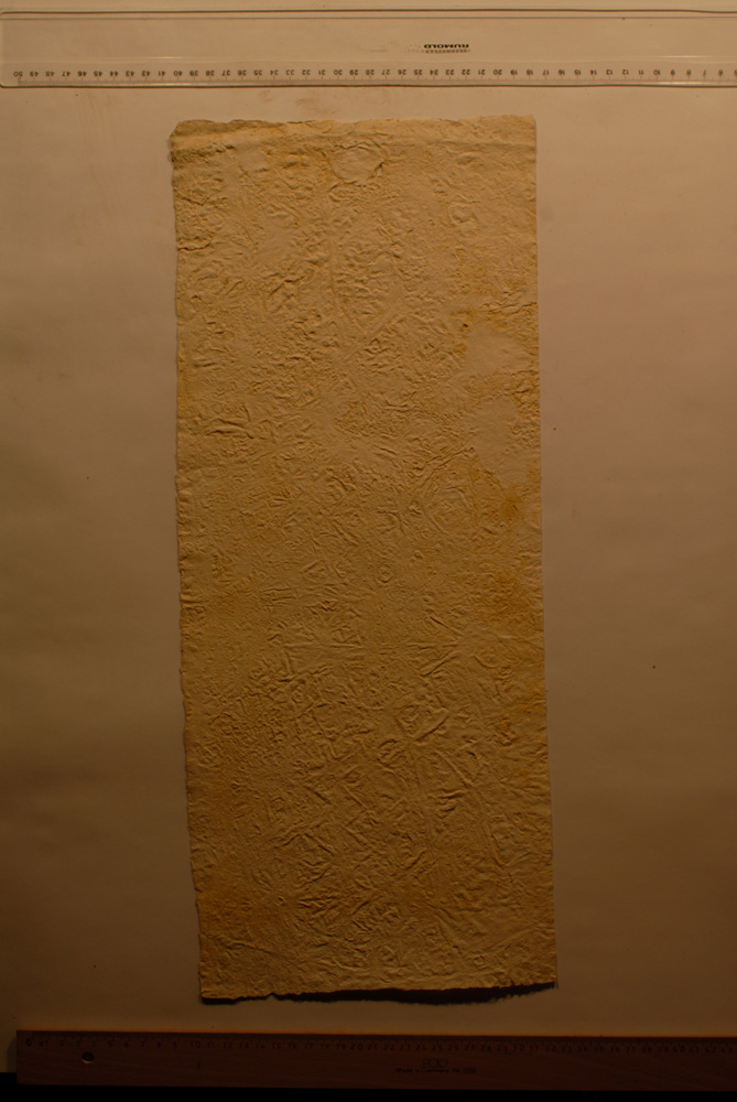 Squeeze: Site: Giza; view: G 9500