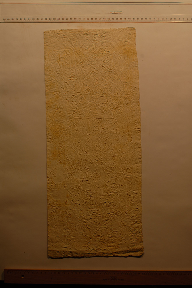 Squeeze: Site: Giza; view: G 9500