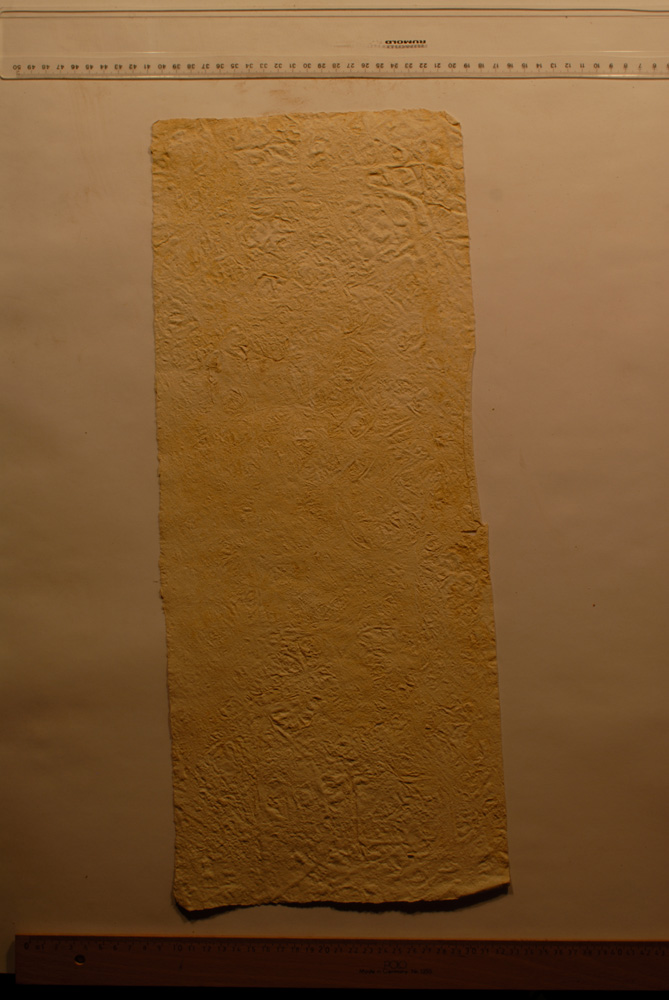 Squeeze: Site: Giza; view: G 9500