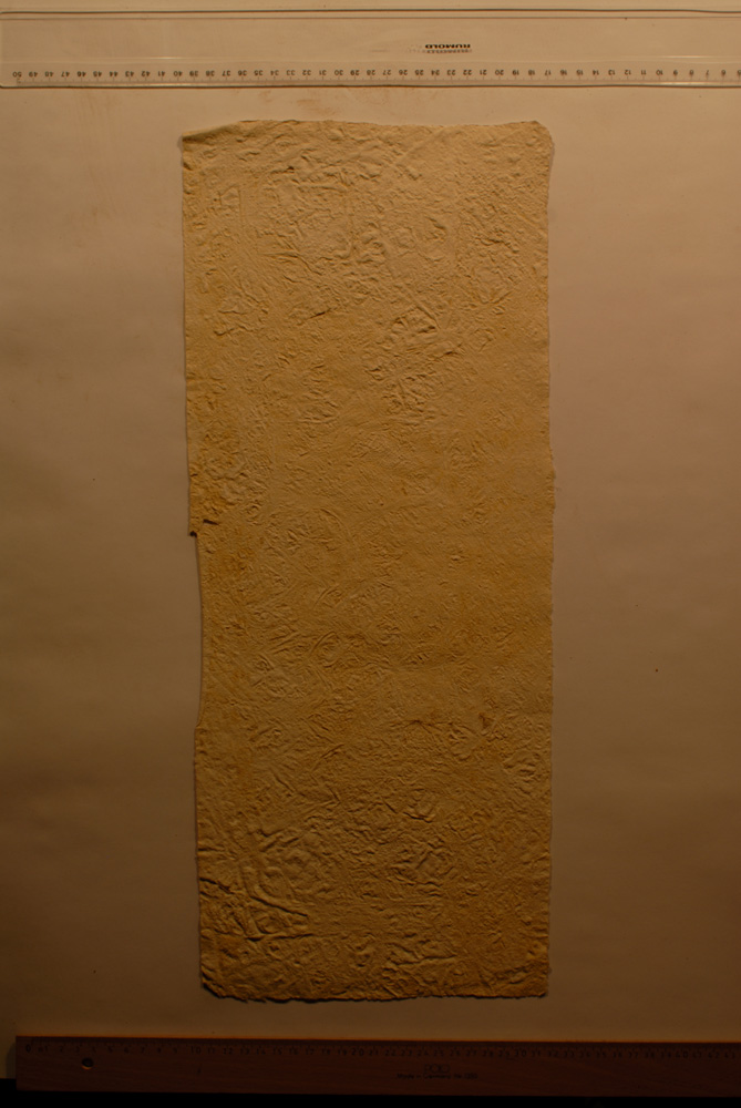 Squeeze: Site: Giza; view: G 9500