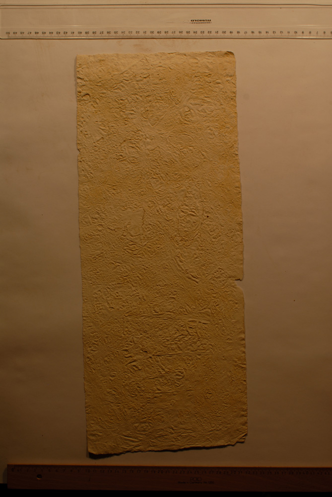 Squeeze: Site: Giza; view: G 9500