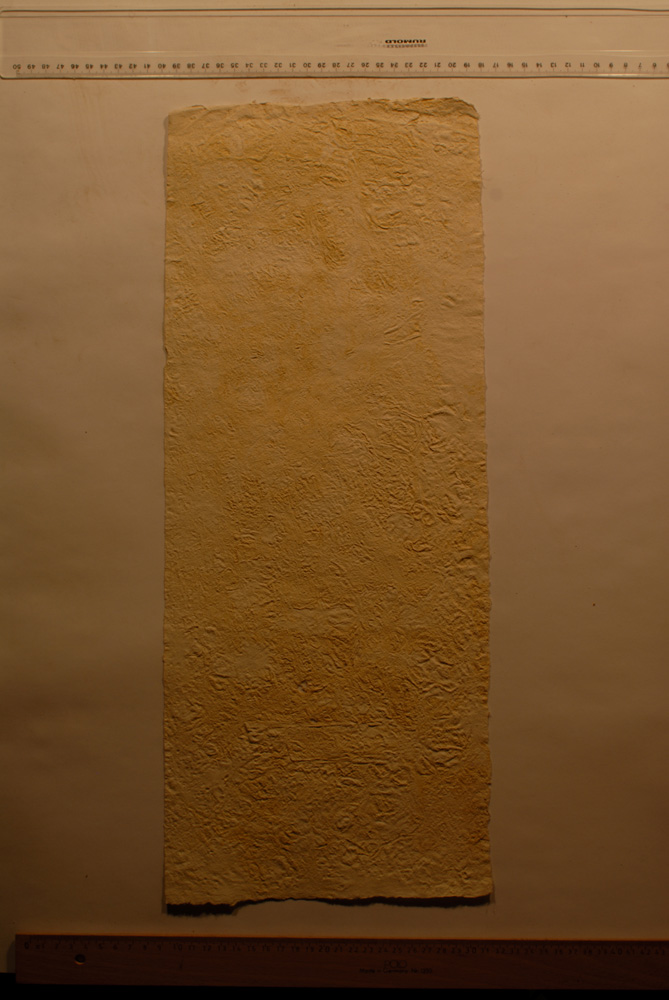 Squeeze: Site: Giza; view: G 9500