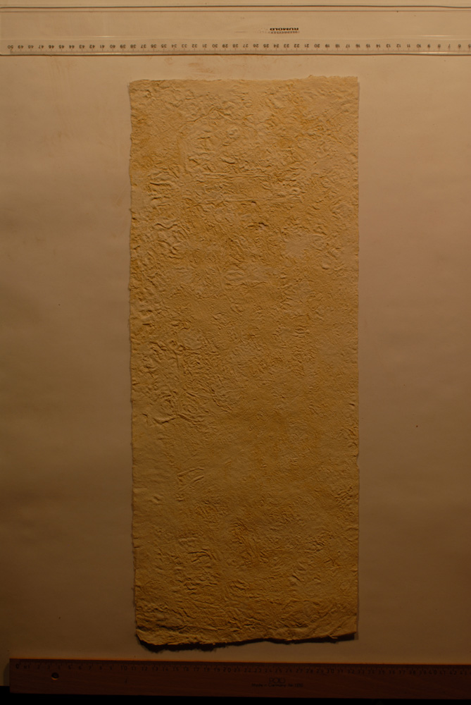 Squeeze: Site: Giza; view: G 9500