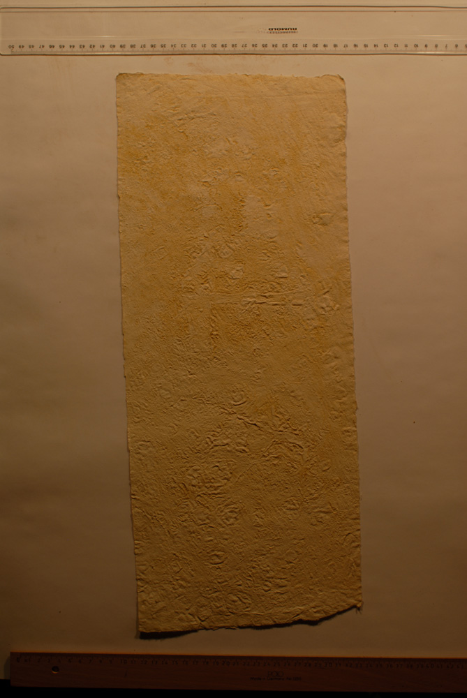 Squeeze: Site: Giza; view: G 9500