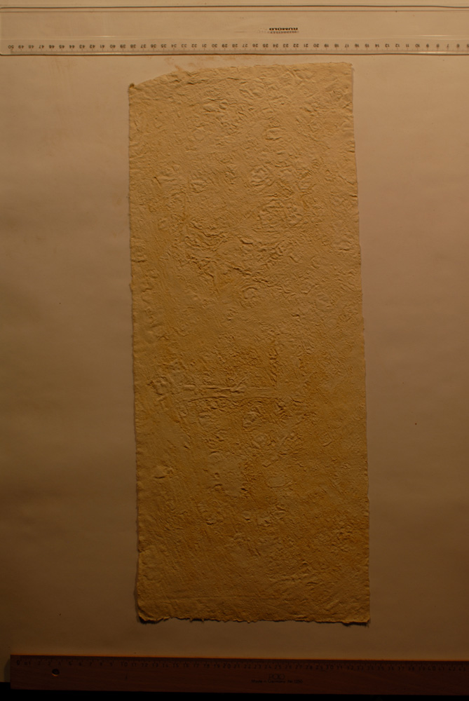 Squeeze: Site: Giza; view: G 9500