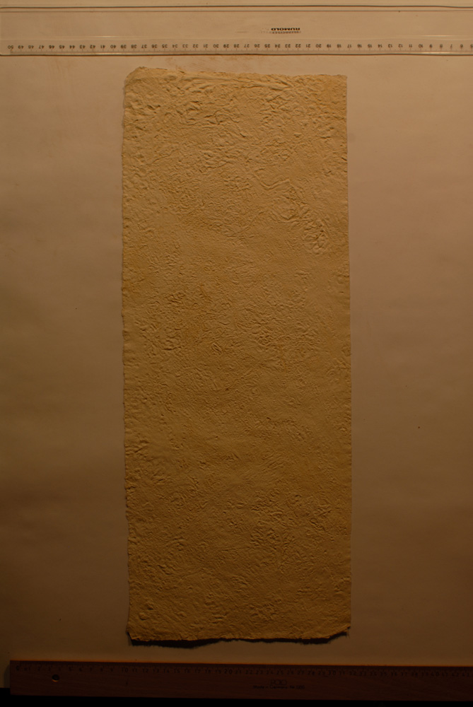 Squeeze: Site: Giza; view: G 9500