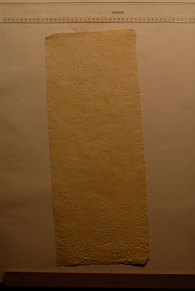 Squeeze: Site: Giza; view: G 9500