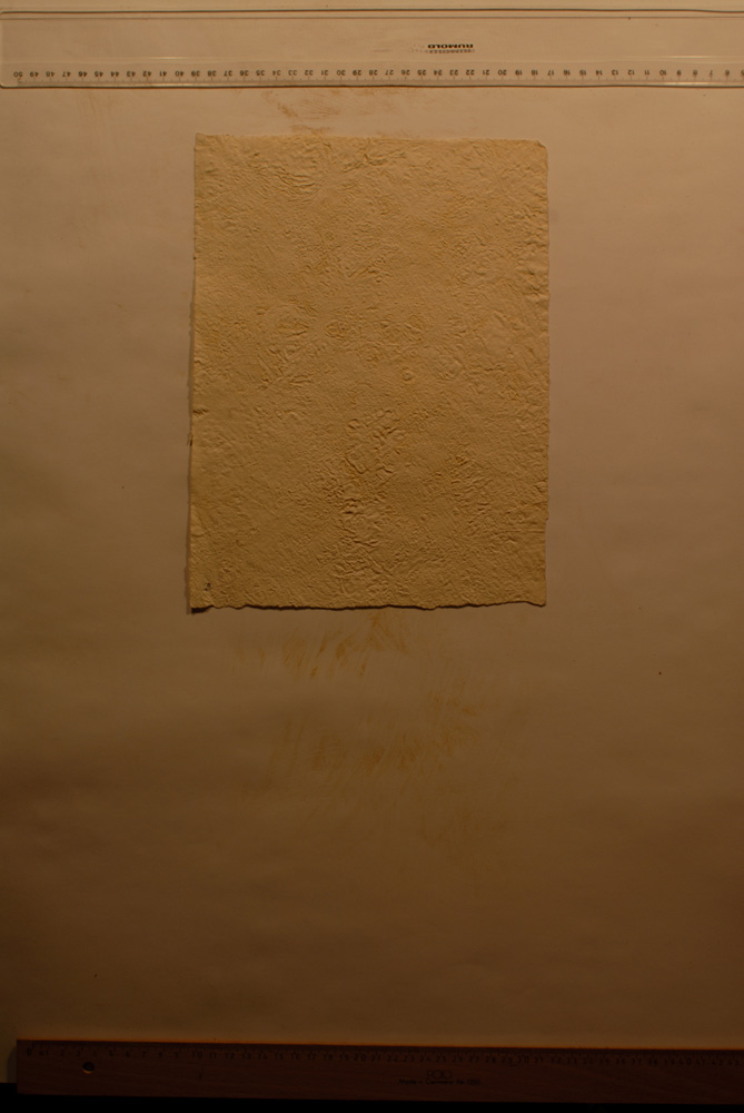 Squeeze: Site: Giza; view: G 9500