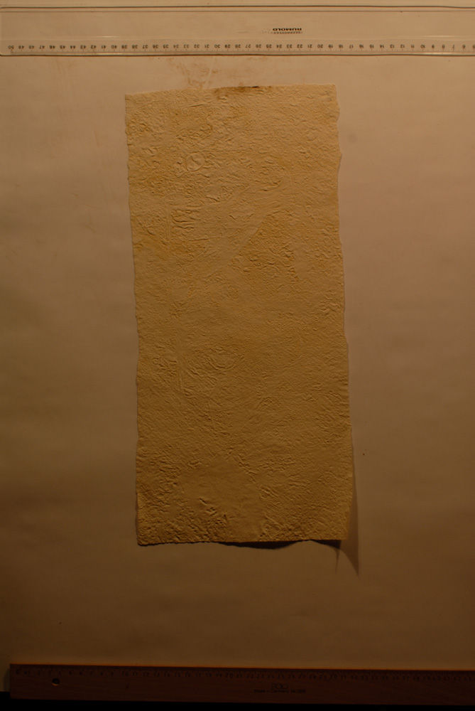 Squeeze: Site: Giza; view: G 9500