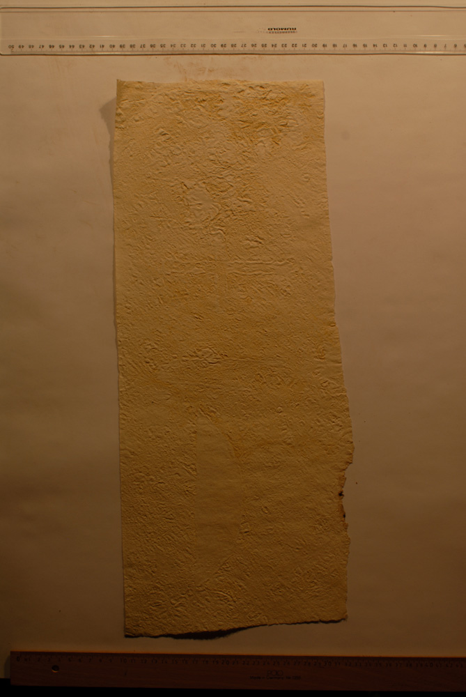 Squeeze: Site: Giza; view: G 9500
