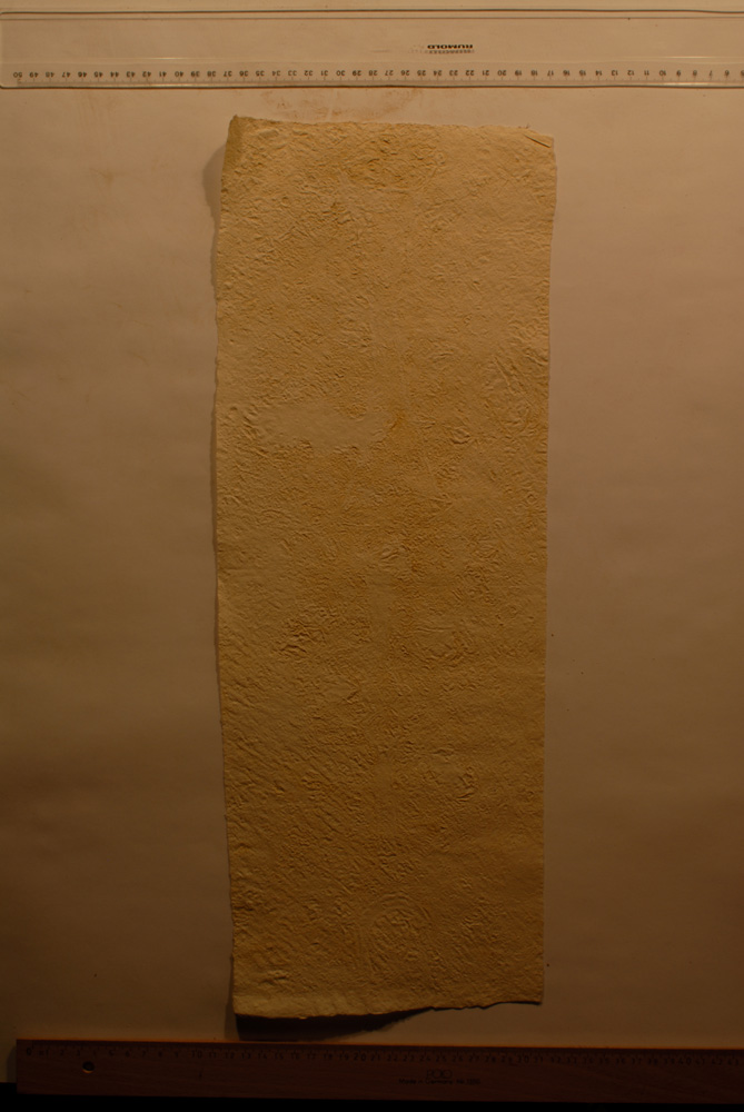 Squeeze: Site: Giza; view: G 9500