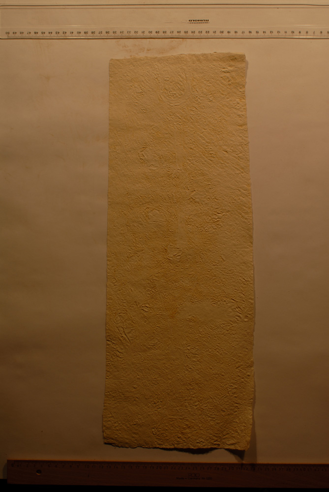 Squeeze: Site: Giza; view: G 9500