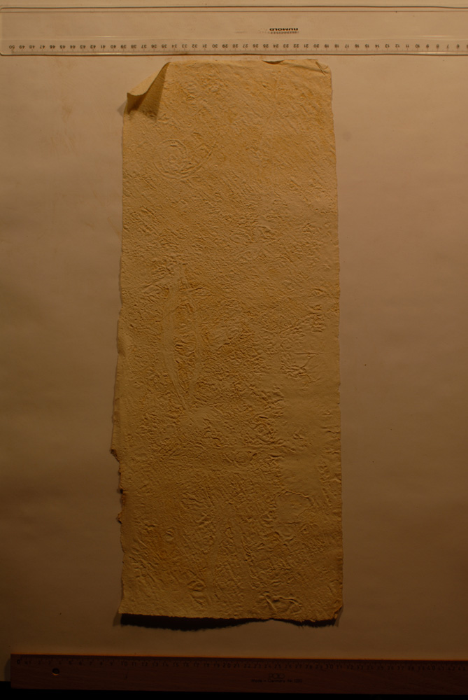 Squeeze: Site: Giza; view: G 9500