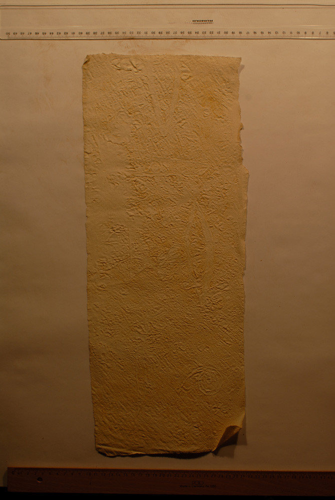 Squeeze: Site: Giza; view: G 9500