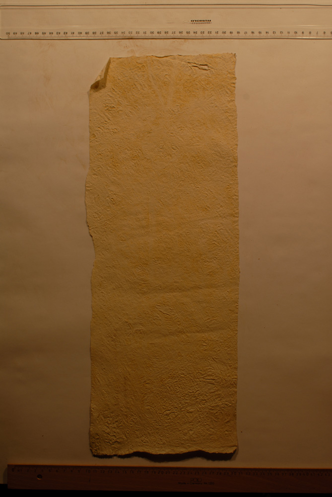 Squeeze: Site: Giza; view: G 9500