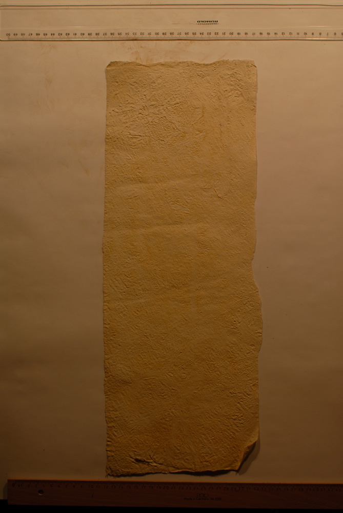 Squeeze: Site: Giza; view: G 9500