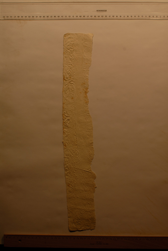 Squeeze: Site: Giza; view: Dream Stela of Thutmose IV