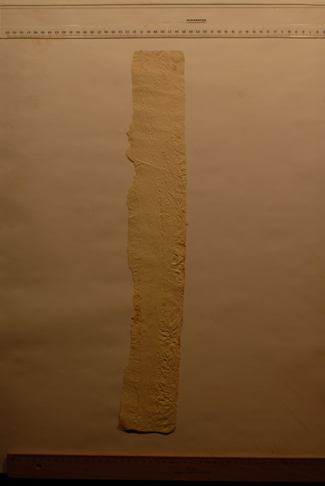 Squeeze: Site: Giza; view: Dream Stela of Thutmose IV