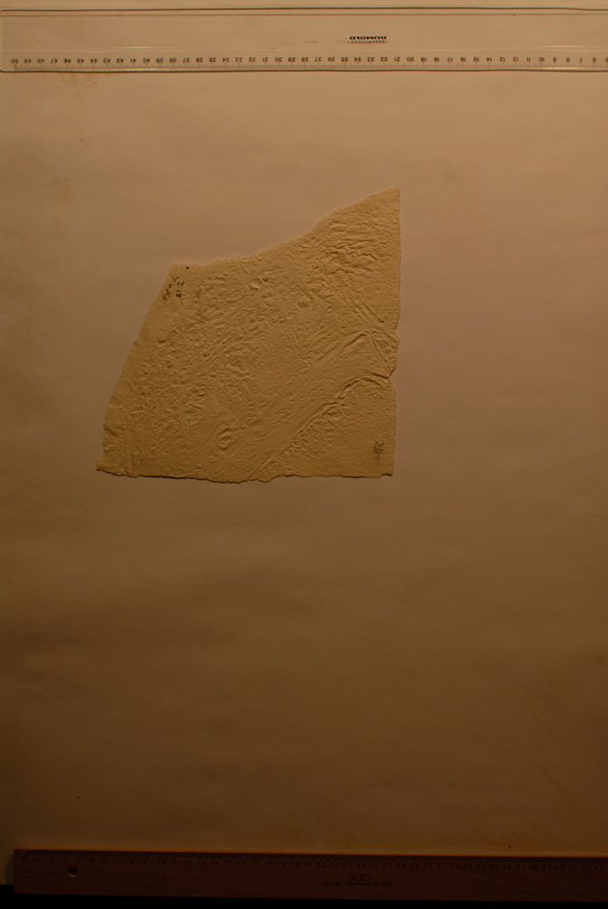 Squeeze: Site: Giza; view: Dream Stela of Thutmose IV