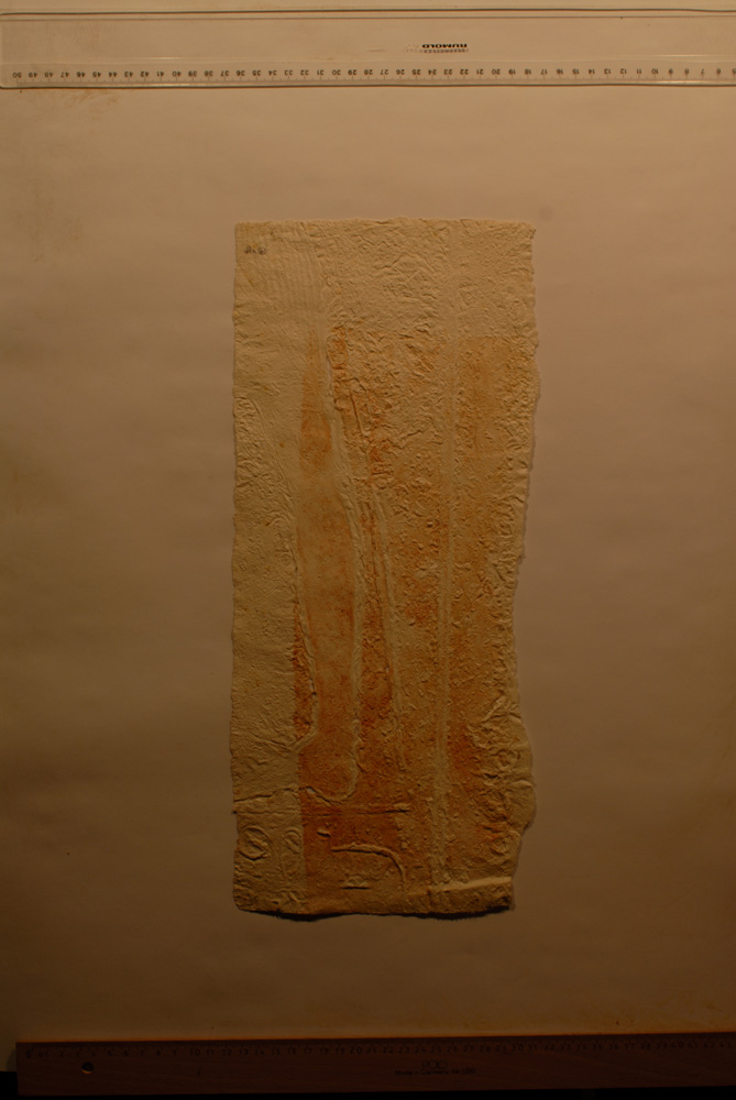 Squeeze: Site: Giza; view: Dream Stela of Thutmose IV