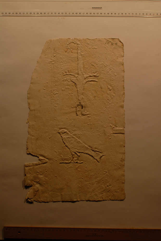 Squeeze: Site: Giza; view: LG 20