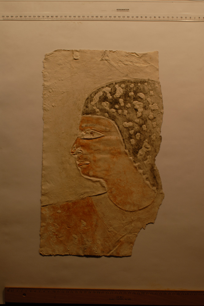 Squeeze: Site: Giza; view: LG 20