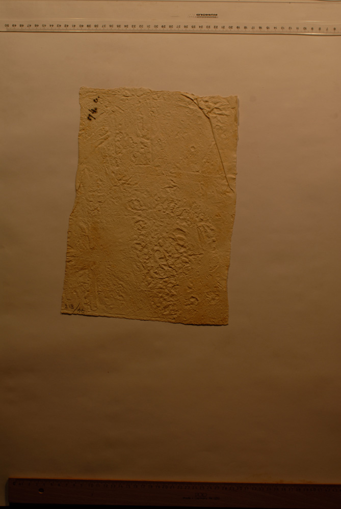Squeeze: Site: Giza; view: G 5340