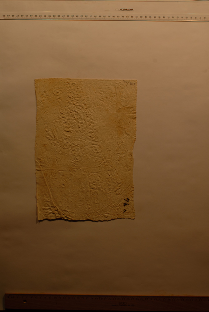 Squeeze: Site: Giza; view: G 5340