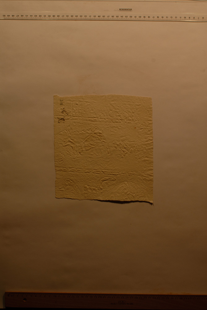 Squeeze: Site: Giza; view: G 8674