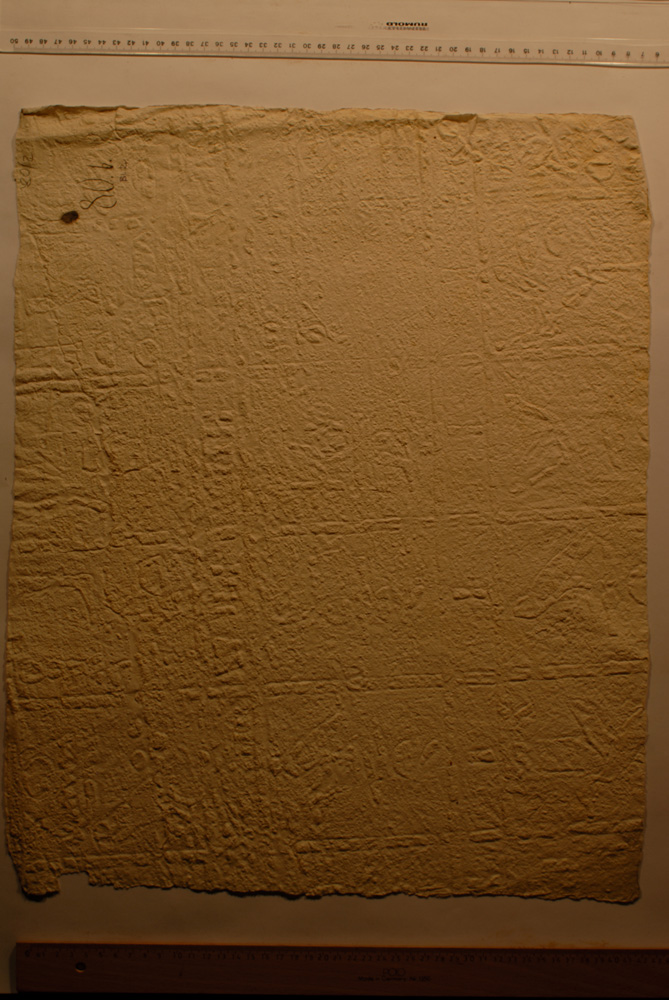 Squeeze: Site: Giza; view: G 8674
