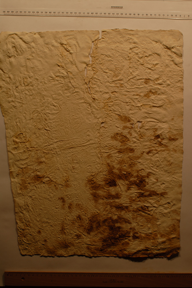 squeeze: Site: Giza; view: G 8154