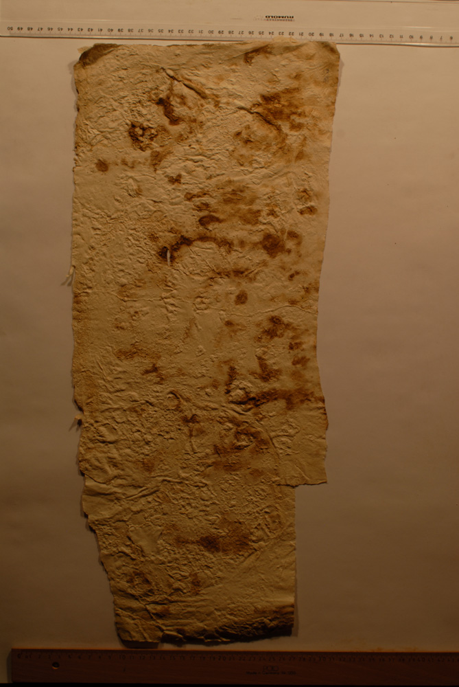 squeeze: Site: Giza; view: G 8154