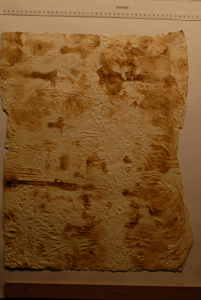 squeeze: Site: Giza; view: G 8154