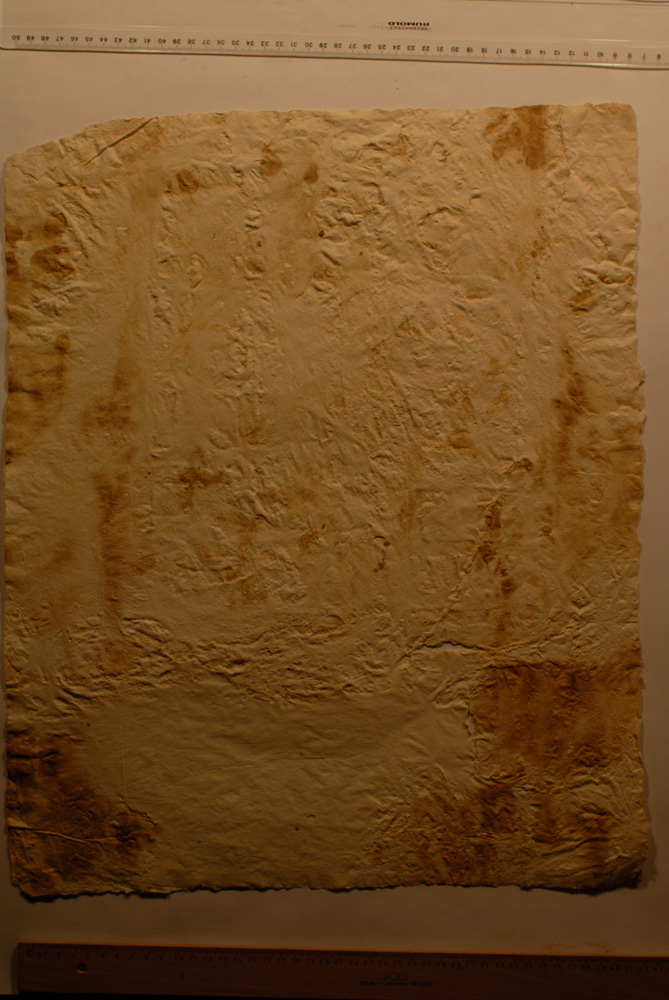 squeeze: Site: Giza; view: G 8154